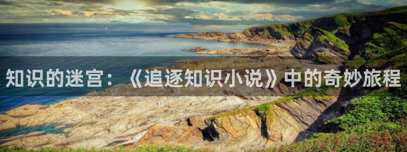 大道朝天全本小说免费阅读：知识的迷宫：《追逐知识小说》中的奇妙旅程