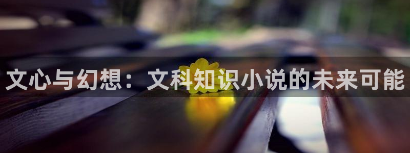 久久小说网全本小说下载：文心与幻想：文科知识小说的未来可能