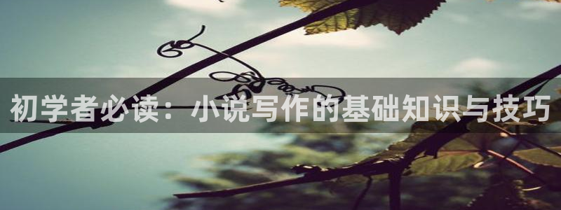 起点免费全本小说：初学者必读：小说写作的基础知识与技巧