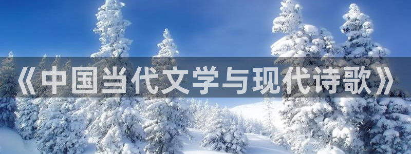 玄幻小说全本小说网：《中国当代文学与现代诗歌》