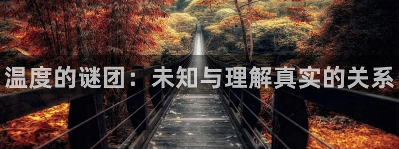 po18完本全本小说免费阅读：温度的谜团：未知与理解真实的关系