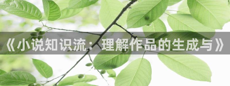 顶级看书网全本小说：《小说知识流：理解作品的生成与》