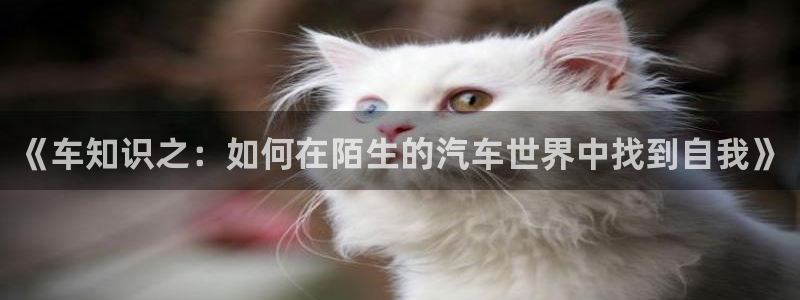 笔趣阁官场全本小说：《车知识之：如何在陌生的汽车世界中找到自我》