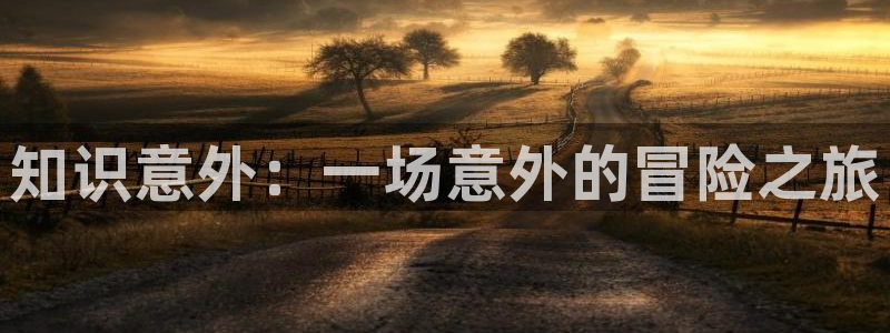 全本小说下载txt电子书免费下载网站：知识意外：一场意外的冒险之旅