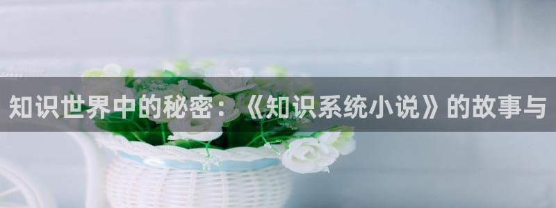 全本小说网穿越小说：知识世界中的秘密：《知识系统小说》的故事与