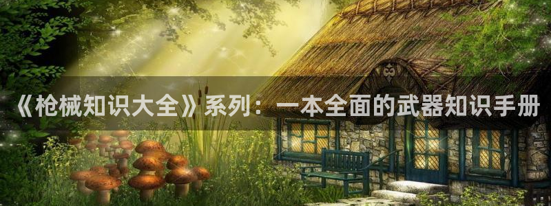 奇书网txt免费全本小说下载：《枪械知识大全》系列：一本全面的武器知识手册
