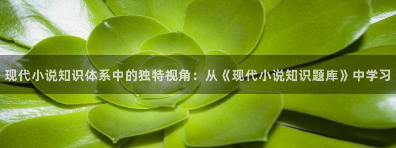 23全本小说网：现代小说知识体系中的独特视角：从《现代小说知识题库》中学习