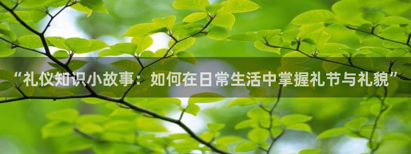 txt全本小说下载网站：“礼仪知识小故事：如何在日常生活中掌握礼节与礼貌”