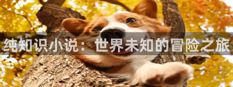 赤心巡天免费阅读全本小说：纯知识小说：世界未知的冒险之旅