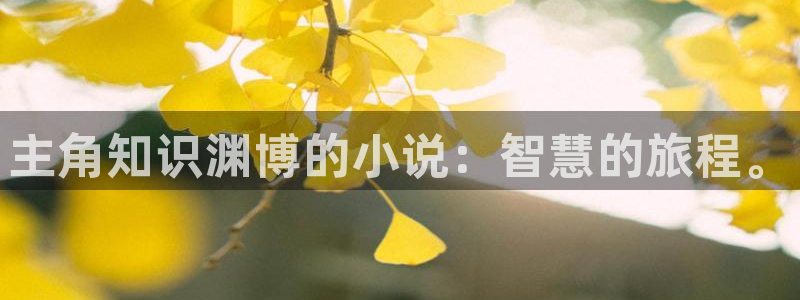 全本小说免费大全下载：主角知识渊博的小说：智慧的旅程。