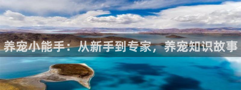 亮剑全本小说：养宠小能手：从新手到专家，养宠知识故事