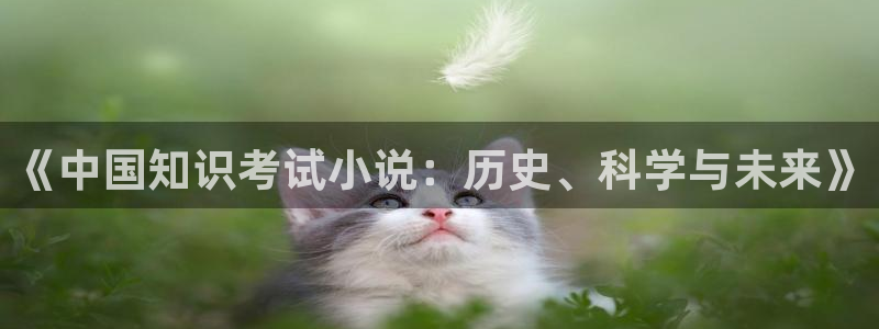 久久免费全本小说：《中国知识考试小说：历史、科学与未来》