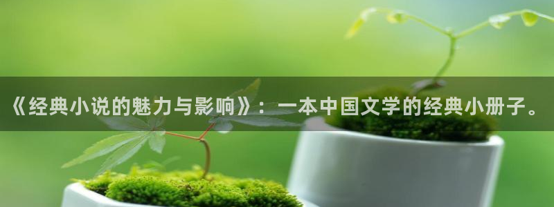 全本小说免费txt下载：《经典小说的魅力与影响》：一本中国文学的经典小册子。