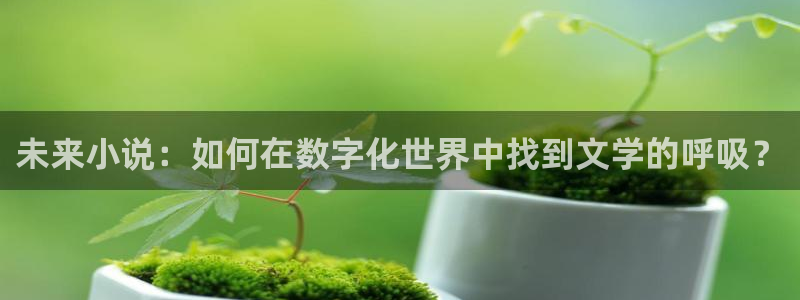 斗罗之灵珠神剑全本小说下载