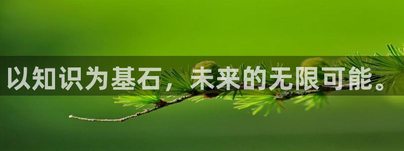 2k全本小说网：以知识为基石，未来的无限可能。