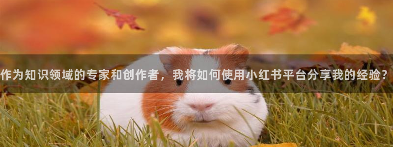 全本小说笔趣阁：作为知识领域的专家和创作者，我将如何使用小红书平台分享我的经验？