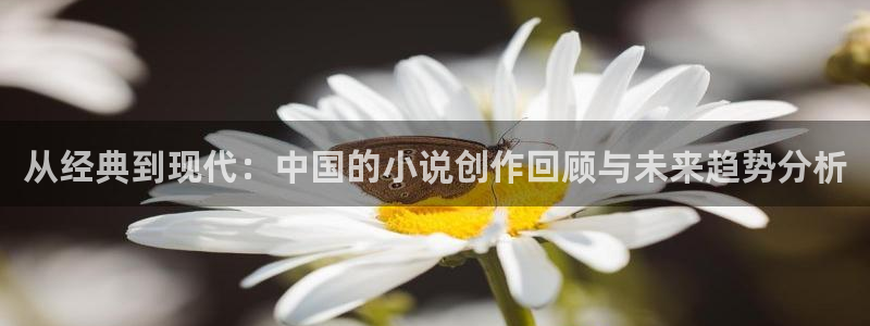 免费全本小说逐夏：从经典到现代：中国的小说创作回顾与未来趋势分析