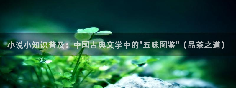 大道朝天全本小说免费阅读：小说小知识普及：中国古典文学中的\