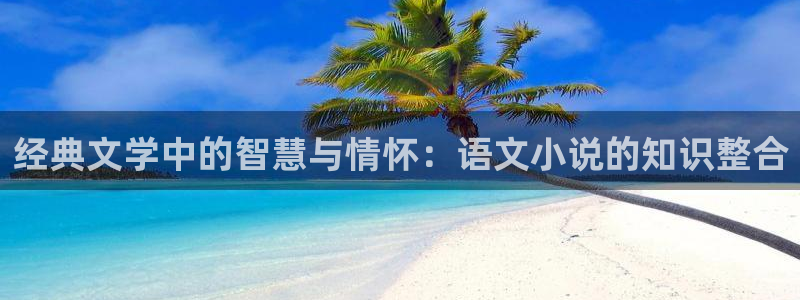 大龟甲师全本小说阅读：经典文学中的智慧与情怀：语文小说的知识整合