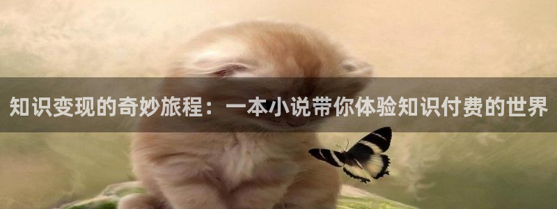 得间免费全本小说阅读：知识变现的奇妙旅程：一本小说带你体验知识付费的世界