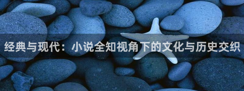 深夜书屋全本小说下载：经典与现代：小说全知视角下的文化与历史交织