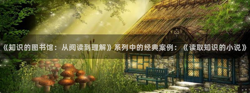 久久免费全本小说下载：《知识的图书馆：从阅读到理解》系列中的经典案例：《读取知识的小说》