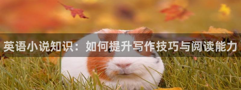 恶魔大导演全本小说：英语小说知识：如何提升写作技巧与阅读能力
