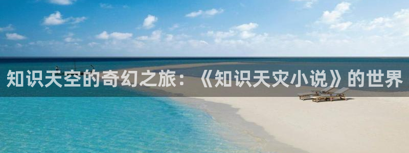 全本小说网笔趣阁：知识天空的奇幻之旅：《知识天灾小说》的世界