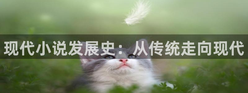 好看的全本小说免费阅读网：现代小说发展史：从传统走向现代