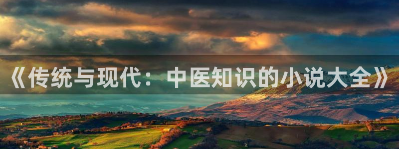 全本小说 大全下载：《传统与现代：中医知识的小说大全》