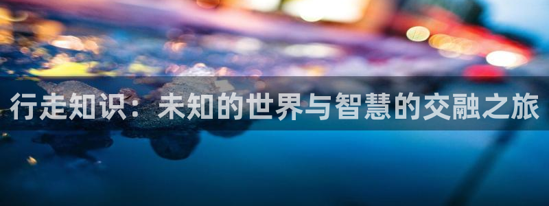 免费全本小说网(笔趣阁)：行走知识：未知的世界与智慧的交融之旅